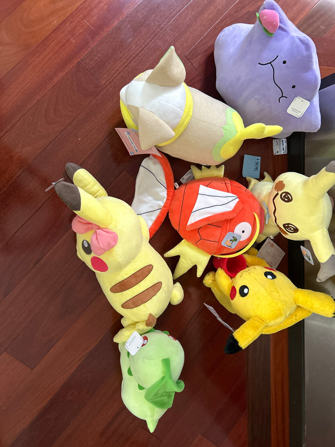 Pokémon Large