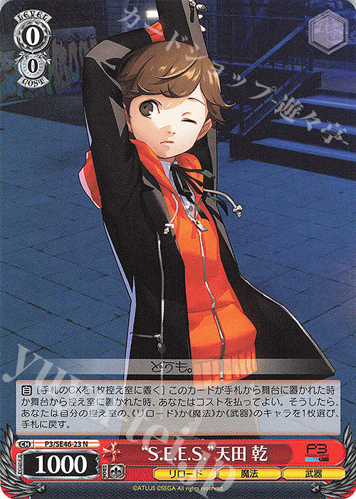 N "S.E.E.S." Amada Ken