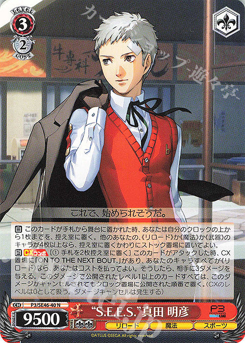 N "S.E.E.S." Akihiko Sanada