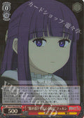 SR "Clothes see-through magic" Fern ("Fukugasketemielmahou" Fern)