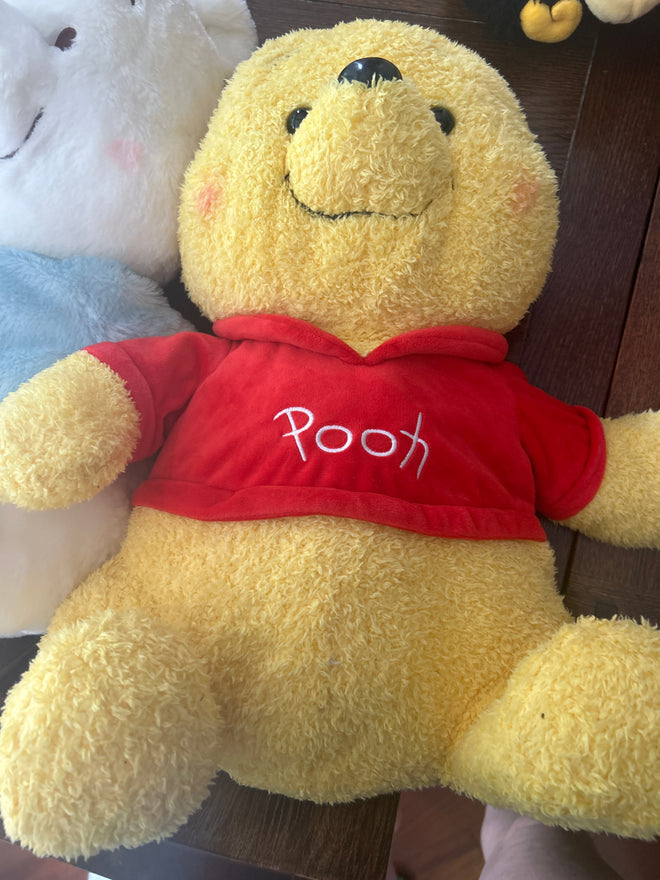 Pooh Bear - Large 2