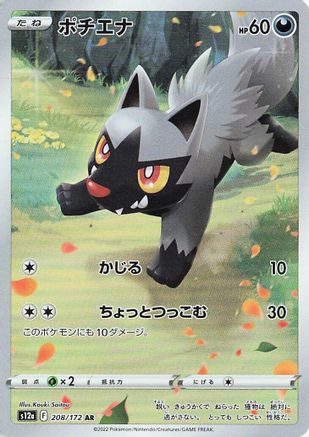 Poochyena - 208/172 (208/172) - S12a VSTAR Universe Holofoil [JP]