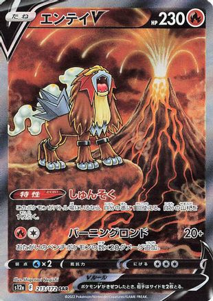Entei V - 213/172 (213/172) - S12a VSTAR Universe Holofoil [JP]
