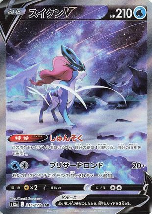 Suicune V - 215/172 (215/172) - S12a VSTAR Universe Holofoil [JP]