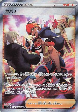 Raihan - 237/172 (237/172) - S12a VSTAR Universe Holofoil [JP]
