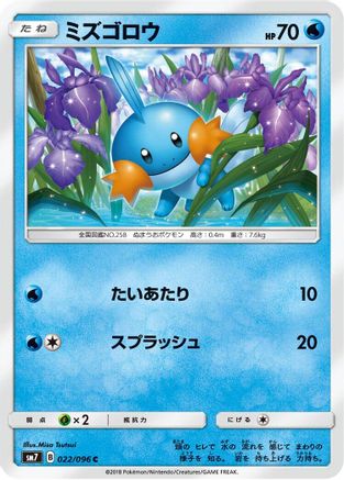 Mudkip - 022/096 (022/096) - SM7 SkySplitting Charisma  [JP]