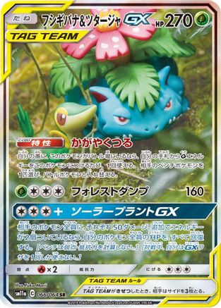 Venusaur & Snivy GX - 066/064 (066/064) - SM11a Remix Bout Holofoil [JP]