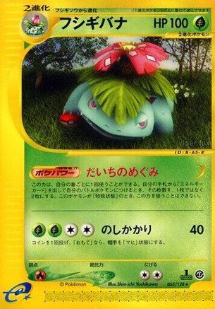Venusaur - 065/128 (065/128) - Base Expansion Pack 1st Edition [JP]
