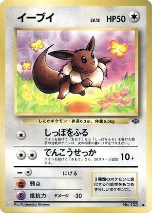 Eevee  - Pokemon Jungle  [JP]