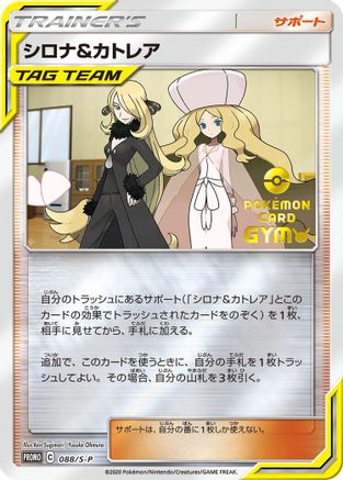 Cynthia & Caitlin - 088/S-P (088/S-P) - SP Sword  Shield Promos Holofoil [JP]