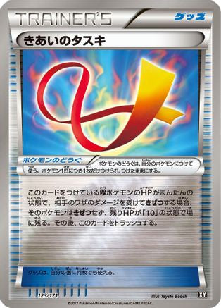 Focus Sash (123/171) - SM The Best of XY  [JP]