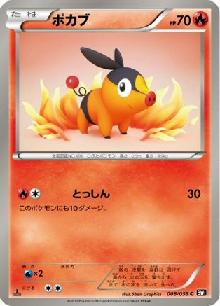 Tepig (008/053) - BW1 Black Collection 1st Edition [JP]