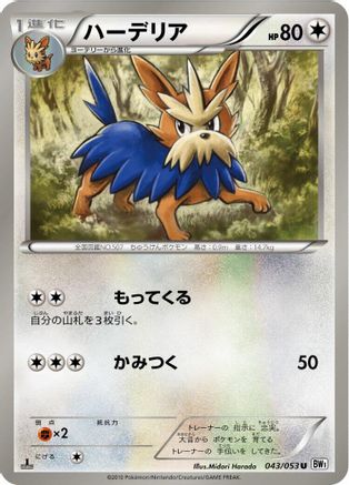 Herdier (043/053) - BW1 White Collection Unlimited [JP]