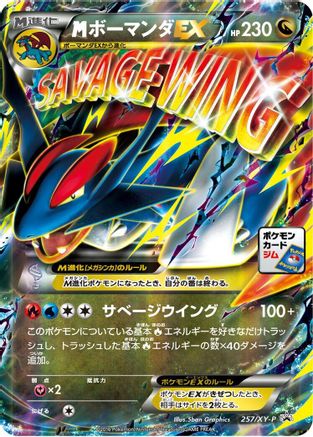 Salamence - 257/XY-P (257/XY-P) - XYP XY Promos Holofoil [JP]