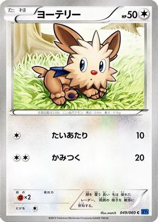 Lillipup (049/060) - XYBx Collection X 1st Edition [JP]