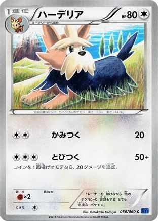 Herdier (050/060) - XYBx Collection X 1st Edition [JP]