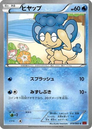 Panpour (019/060) - XYBy Collection Y 1st Edition [JP]