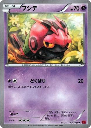 Venipede (024/060) - XYBy Collection Y Unlimited [JP]