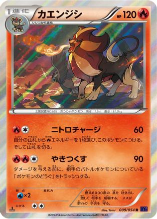 Pyroar (009/054) - XY11Bb FeverBurst Fighter Unlimited Holofoil [JP]
