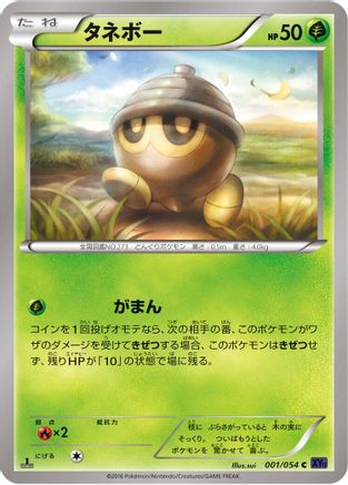 Seedot (001/054) - XY11Bb FeverBurst Fighter 1st Edition [JP]