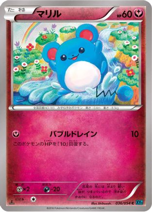 Marill (036/054) - XY11Br Cruel Traitor Unlimited [JP]