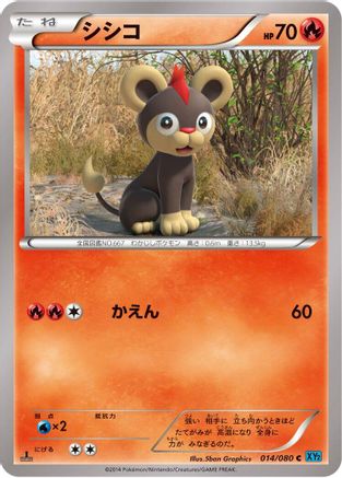 Litleo (014/080) - XY2 Wild Blaze 1st Edition [JP]