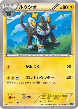 Luxio (028/080) - XY2 Wild Blaze 1st Edition [JP]