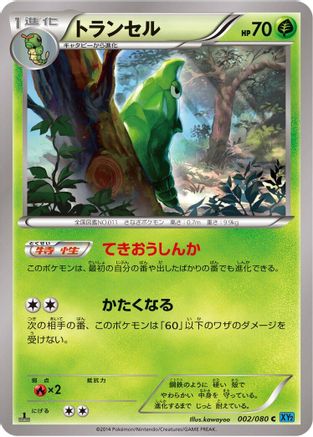 Metapod (002/080) - XY2 Wild Blaze 1st Edition [JP]