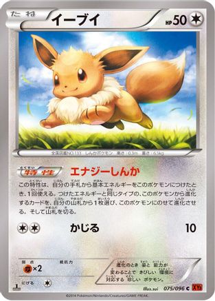 Eevee (075/096) - XY3 Rising Fist 1st Edition [JP]