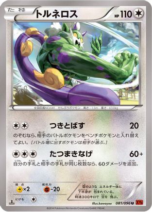 Tornadus (081/096) - XY3 Rising Fist Unlimited [JP]