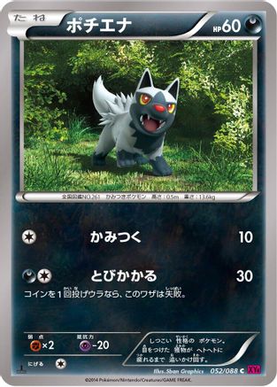 Poochyena (052/088) - XY4 Phantom Gate 1st Edition [JP]