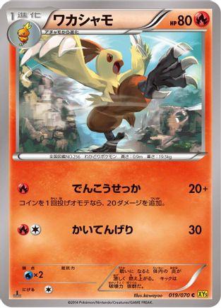 Combusken (019/070) - XY5Bg Gaia Volcano Unlimited [JP]