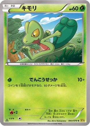 Treecko (003/070) - XY5Bg Gaia Volcano 1st Edition [JP]