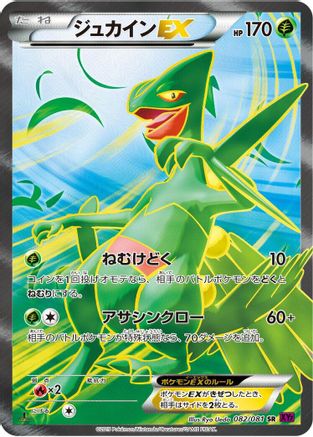 Sceptile EX - 082/081 (082/081) - XY7 Bandit Ring Unlimited Holofoil [JP]
