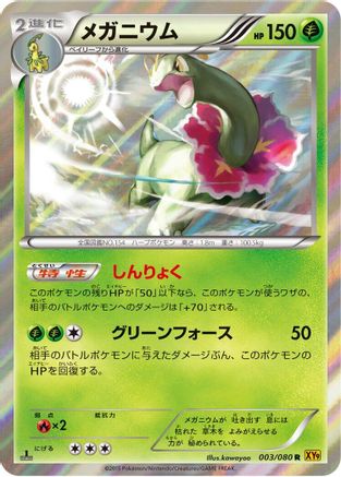 Meganium (003/080) - XY9 Rage of the Broken Heavens 1st Edition Holofoil [JP]