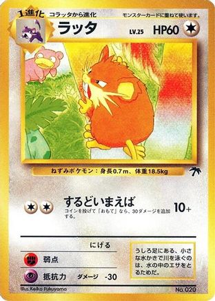 Raticate  - Southern Island  [JP]