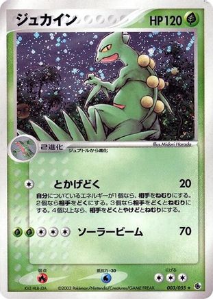 Sceptile (003/055) - ADV Expansion Pack 1st Edition Holofoil [JP]