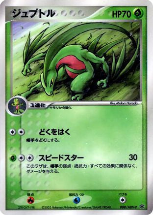 Grovyle - 008/ADV-P (008/ADV-P) - ADVP Promotional cards  [JP]