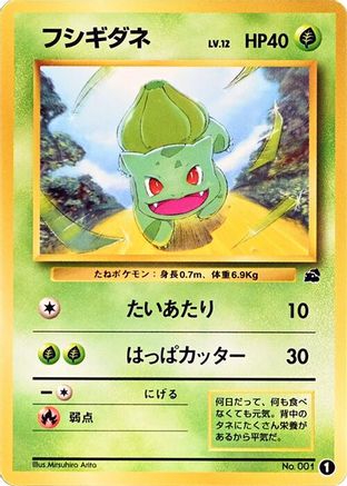 Bulbasaur - 1 (1) - Intro Pack Bulbasaur  [JP]