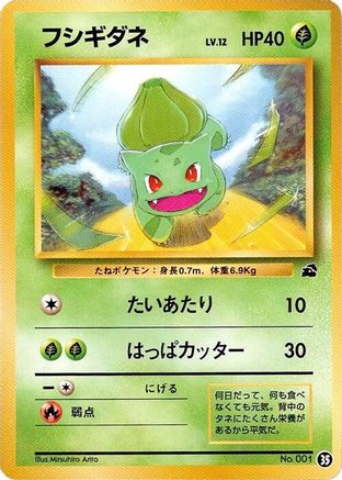 Bulbasaur - 35 (35) - Intro Pack Bulbasaur  [JP]
