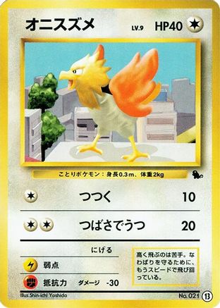 Spearow (13) - Intro Pack Squirtle  [JP]