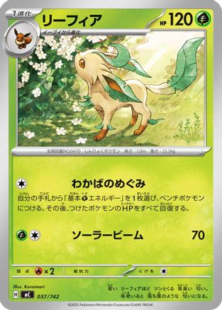 Leafeon (037/742) - Start Deck 100 Battle Collection  [JP]