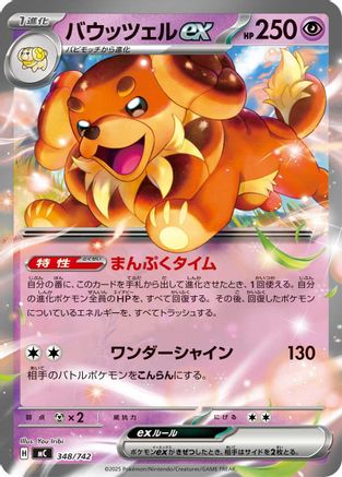 Dachsbun ex (348/742) - Start Deck 100 Battle Collection  [JP]
