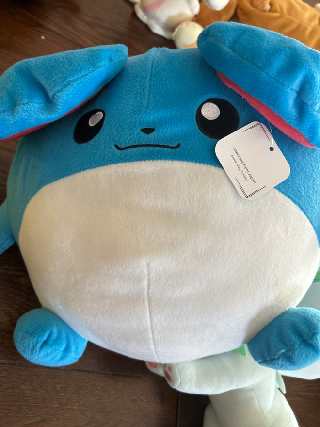 Pokémon Large 2
