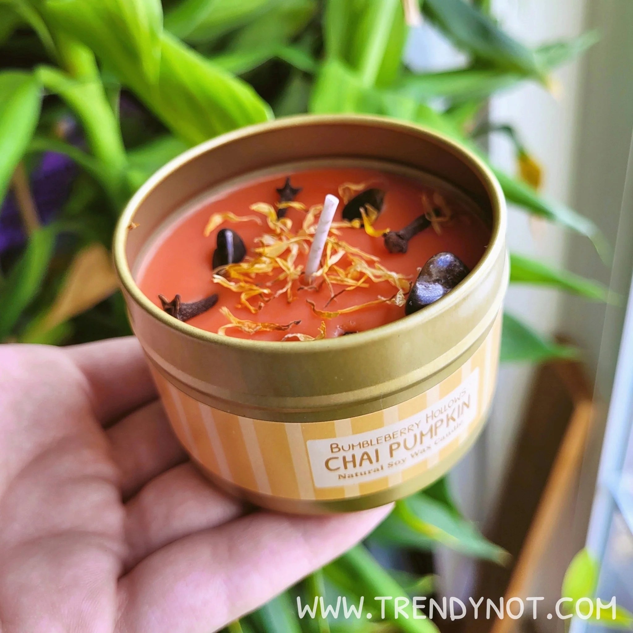 Bumbleberry Hollows Candle - Fripouille's Chai Pumpkin