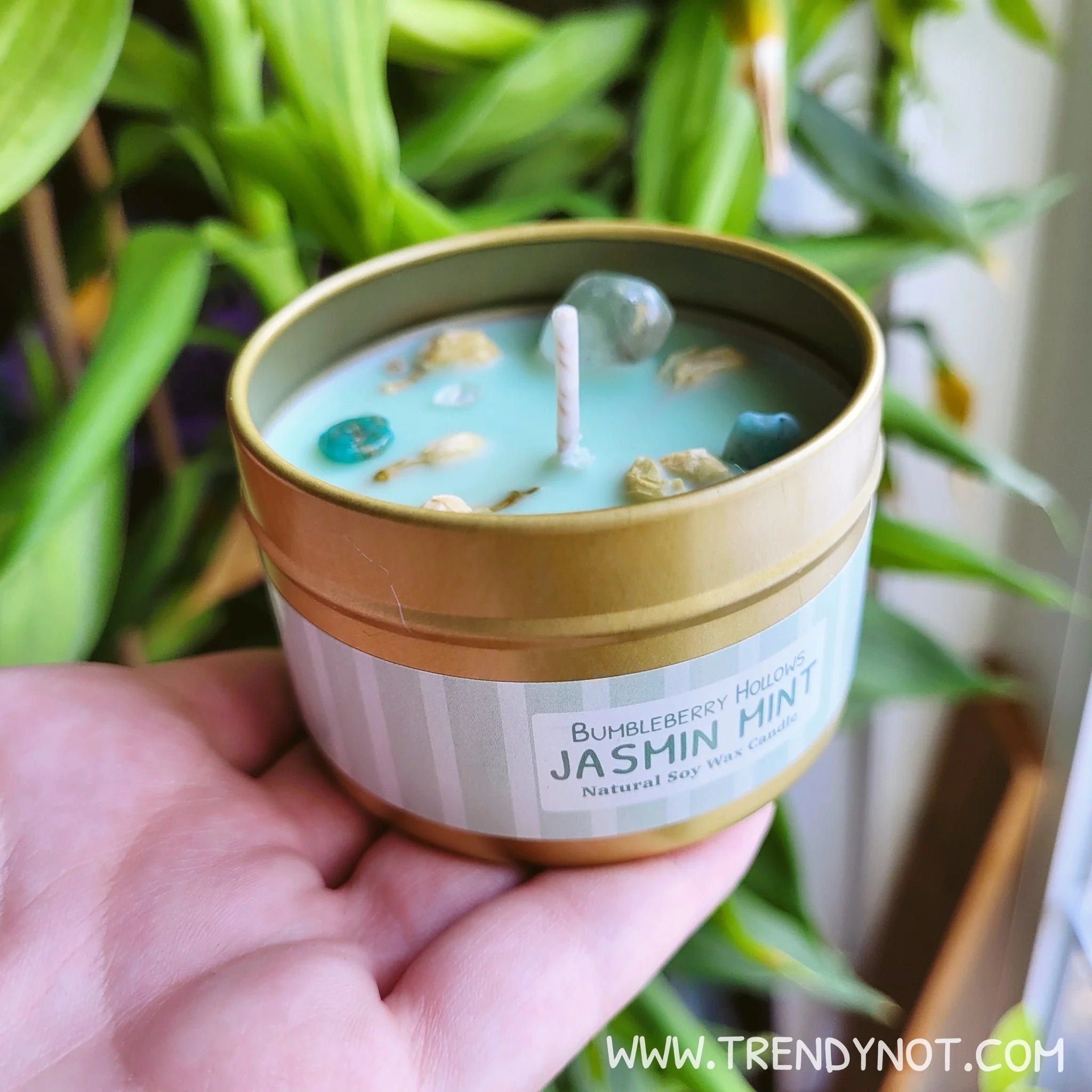 Bumbleberry Hollows Candle - Bao's Jasmine Mint