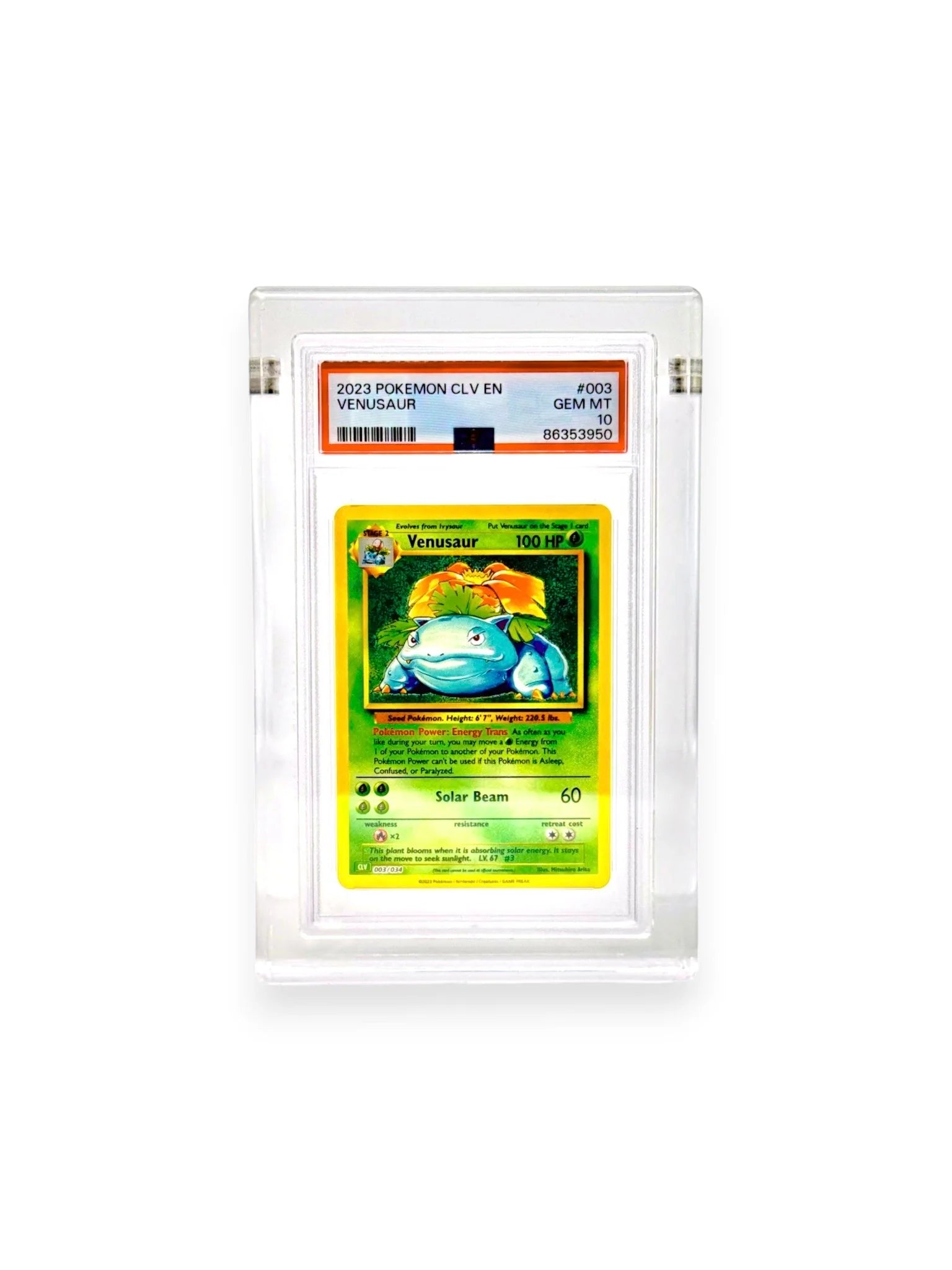 LockBoxTcg - PSA Slab Acrylic Display