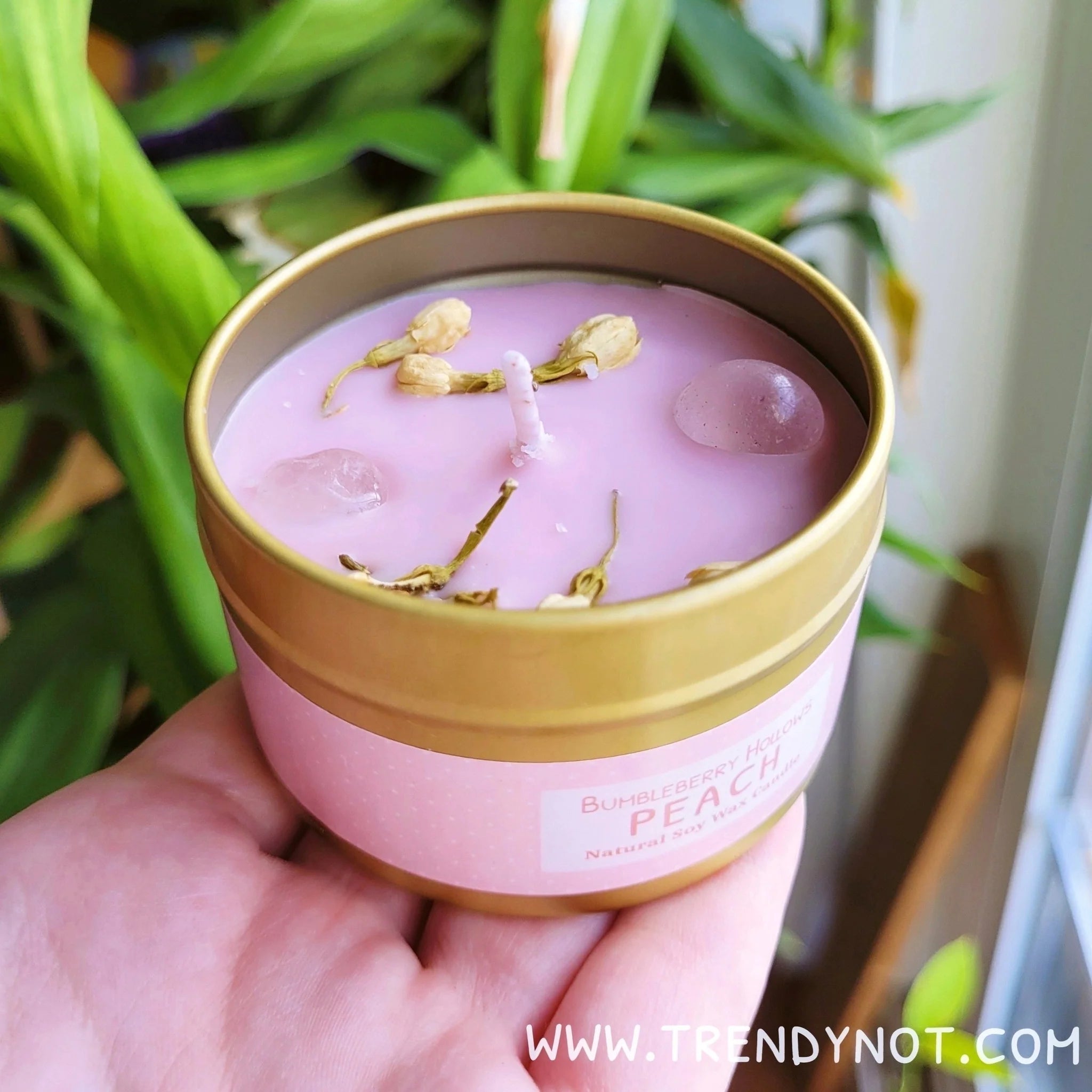 Bumbleberry Hollows Candle - Captain Claws Peach