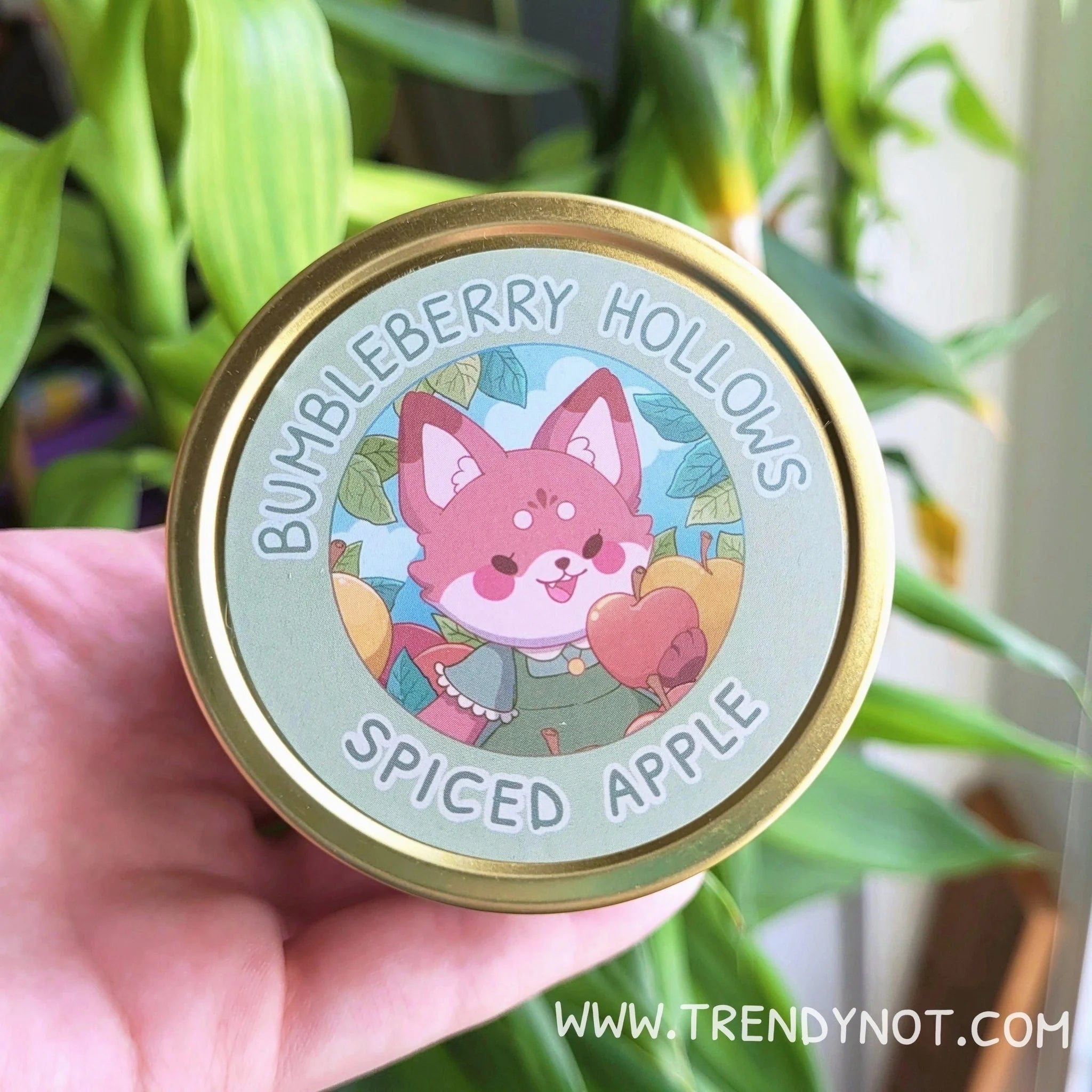 Bumbleberry Hollows Candle - Spiced Apple