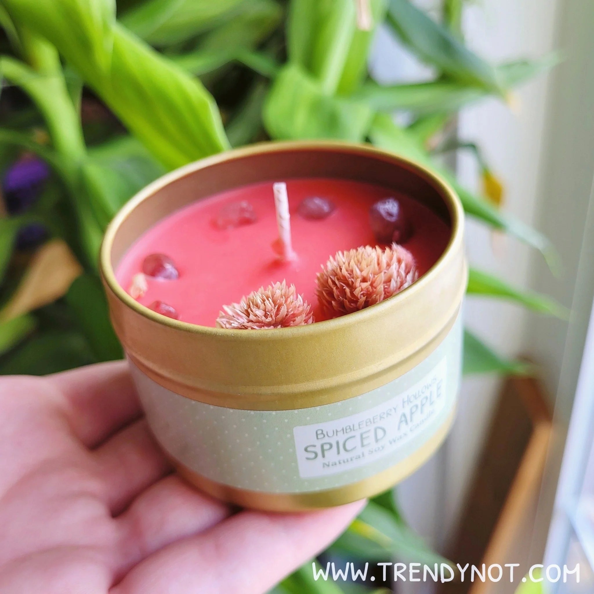 Bumbleberry Hollows Candle - Spiced Apple
